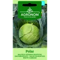 AGR Cabbage POLAR 2G