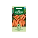 AGR Carrot Koral