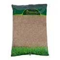 Perennial Fescue Grass 1kg Temprano