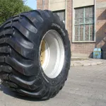 baltyre_est_id_tr2878050tiaffx1.jpg