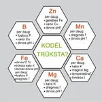 microdoctor-fe-purskiama-augalu-prieziuros-priemone-su-gelezimi-1l__03.jpg
