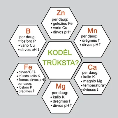 microdoctor-fe-purskiama-augalu-prieziuros-priemone-su-gelezimi-1l__03.jpg