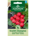 AGR Edible Radishes SCARLET CHAMPI 4g