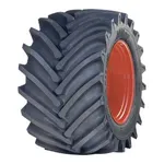 baltyre_est_id_tr1750040mitar06.jpg