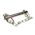 Pin With Retainer 19X125