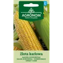 AGR Sweet Corn ZLOTA KARLOWA
