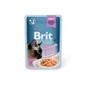 Brit Premium Canned Food For Sterilized Cats With Salmon Fillet 85 g