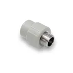 ppr-antgalis-is-sr-20x1-2.jpg