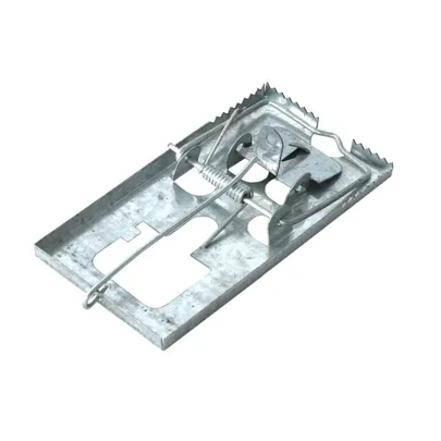 bros-metaliniai-spastai-ziurkems.jpg