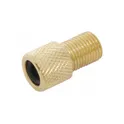 DV/FV Bicycle Valve 10 pack A542