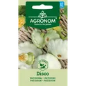 AGR Patisson DISCO 2g