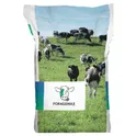 VERSAMAX Pasture Grass Mix 10kg