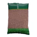 Meadow Fescue Grass Seed Balin 0.5 kg