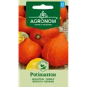 AGR Pumpkin Potimarron