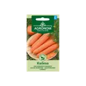 AGR Carrot KARLENA